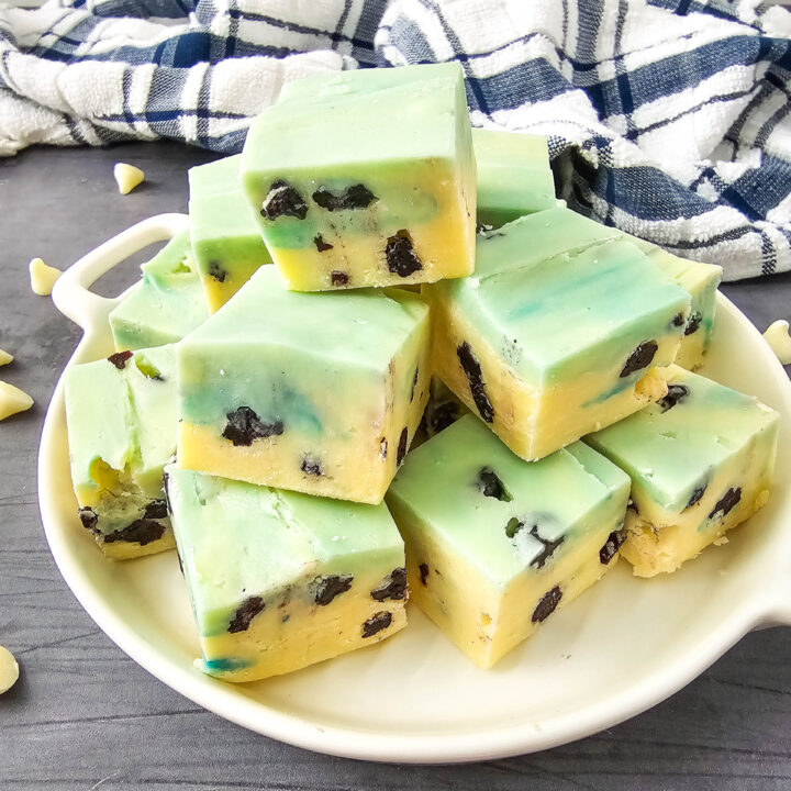 Blueberry Fudge