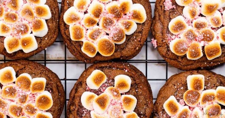 Image for Hot Chocolate Cookies