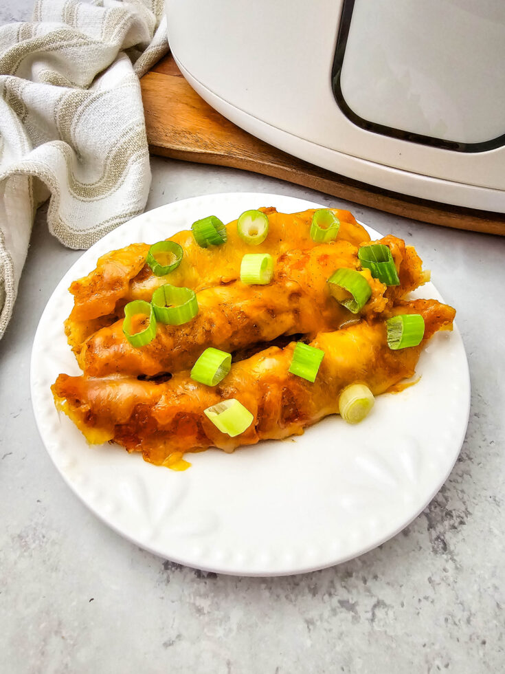 Image for Slow Cooker Lazy Enchiladas 
