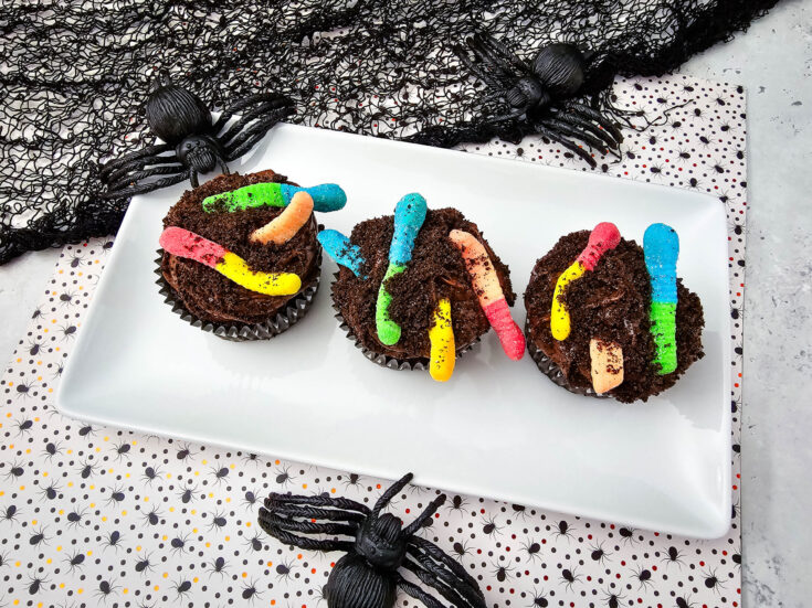 Image for Worms and Dirt Cupcakes